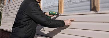 Best Siding Painting and Refinishing  in Tri Lakes, IN